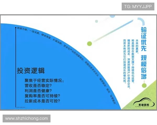 多伦多猛龙重塑球队荣耀新纪元聚焦年轻核心与未来发展战略