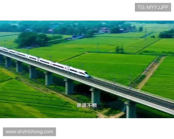 九台农商银行打造普惠金融新格局助力乡村振兴与地方经济高质量发展 九台农商银行打造普惠金融新格局助力乡村振兴与地方经济高质量发展