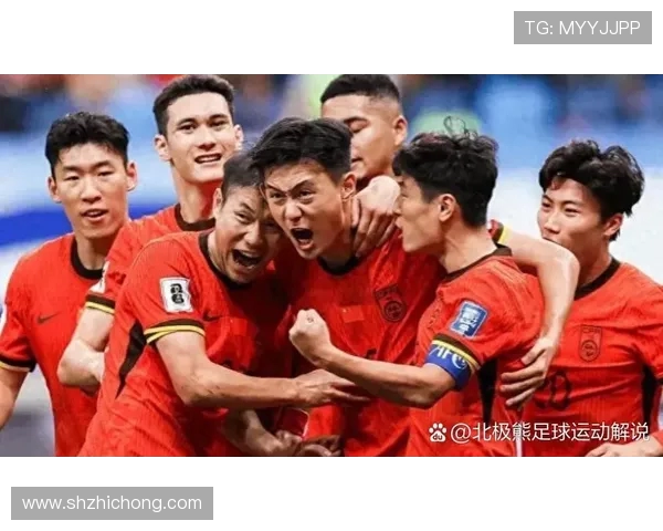 足球世界的荣耀与挑战：从草根到巅峰的奋斗历程与精神探索