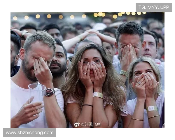 世界杯荣耀之路：历史、传奇与未来的交织，球迷梦想成真的舞台