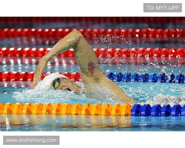 从惊心动魄的腾空到完美入水探秘跳水运动的力量与艺术