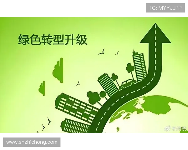 以北京WB为核心推动绿色发展战略 助力城市可持续未来转型 以北京WB为核心推动绿色发展战略 助力城市可持续未来转型