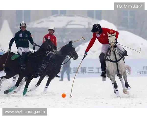南非女子与朝鲜女子的精彩对决展现了不同文化背景下的体育精神与力量 南非女子与朝鲜女子的精彩对决展现了不同文化背景下的体育精神与力量
